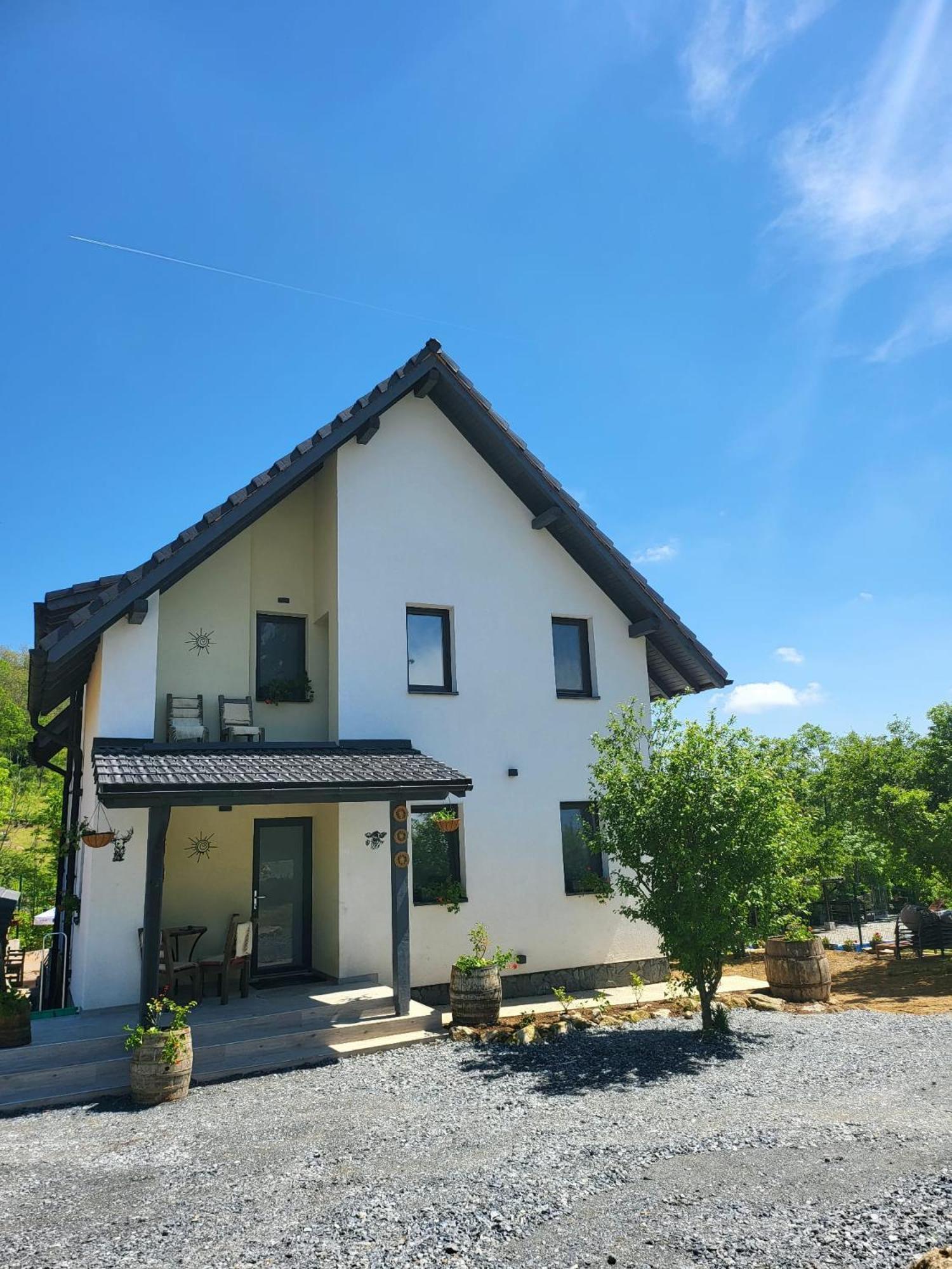 Pensiunea Casa Dacilor Podeni Екстер'єр фото